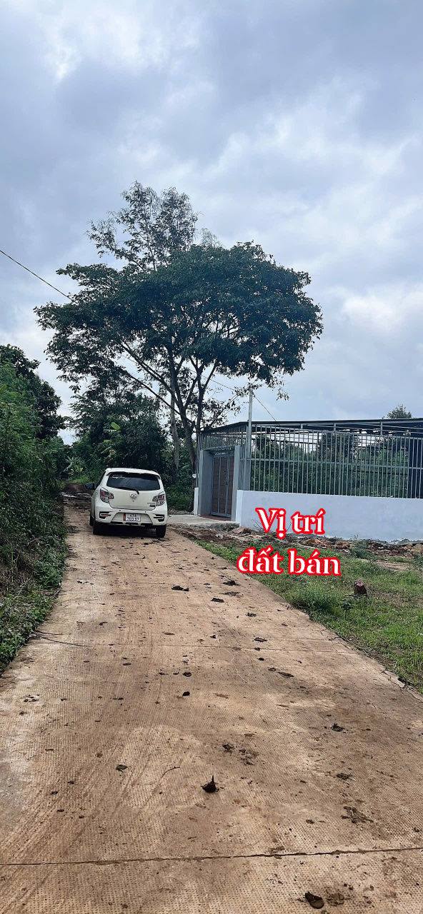 Lô đất Eaphê 150m² giá chỉ 435 triệu - Cơ hội đầu tư hấp dẫn!