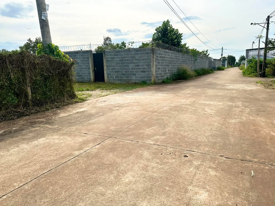 Đất Liền Kề Tỉnh Lộ 8 Cư Suê 130m² giá 1.4 tỷ - Đầu tư sinh lời ngay!