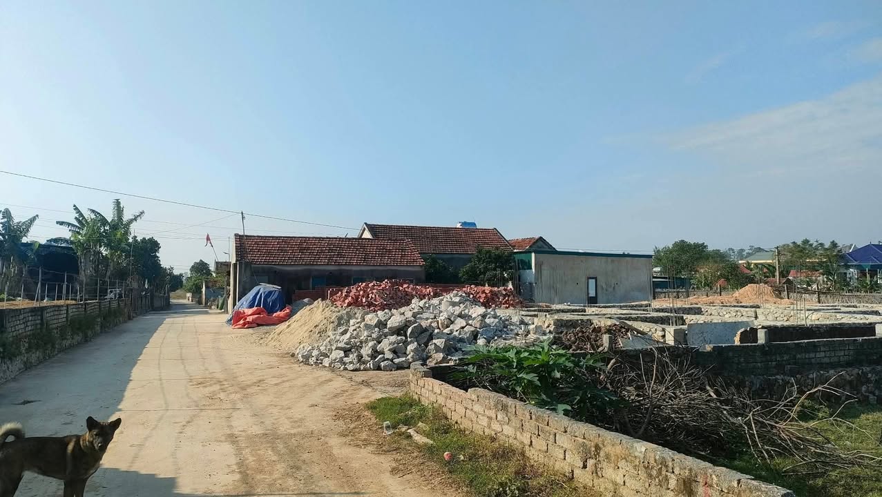 Đất thổ cư Thôn 4 Quỳnh Văn 156.8m² giá 900 triệu - Cơ hội đầu tư tuyệt vời!