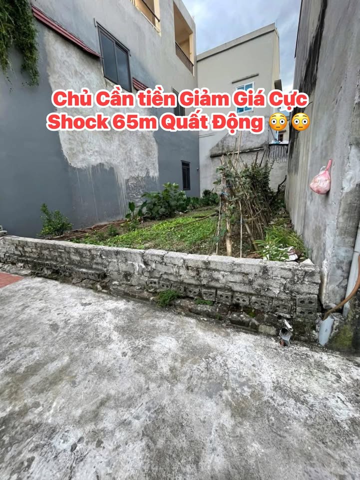 Đất nền Quất Động 65m² giá 3.5 tỷ - Giảm giá cực sốc cho khách hàng nhanh tay!