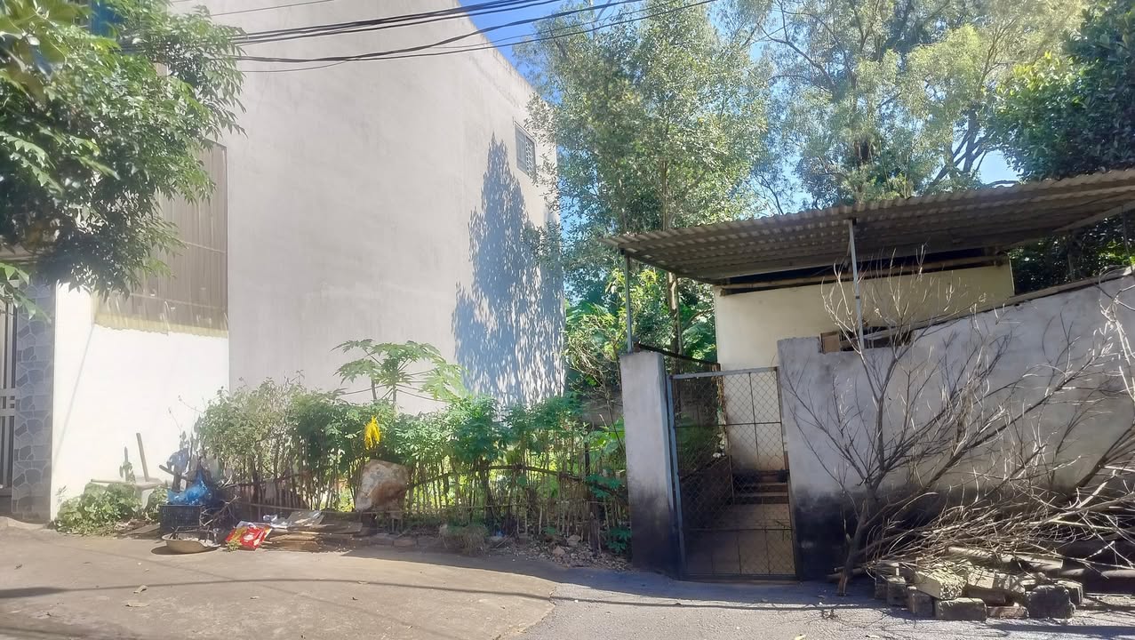 Đất thổ cư 100m² tại Tam Lộng, Bình Xuyên giá chỉ 1 tỷ - Đầu tư sinh lời ngay!