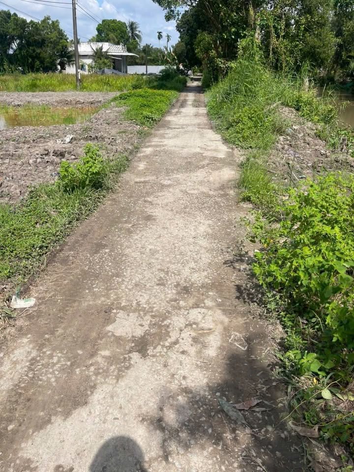 Đất nền Ấp 7, xã Vĩnh Viễn A, diện tích 997.6m² giá 280 triệu - Sổ hồng riêng, dân cư đông đúc!