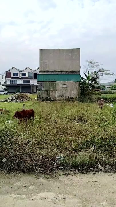 Đất nền Kỳ Tân Kỳ Anh 171m² giá chỉ 18xx triệu - Cơ hội đầu tư tuyệt vời!