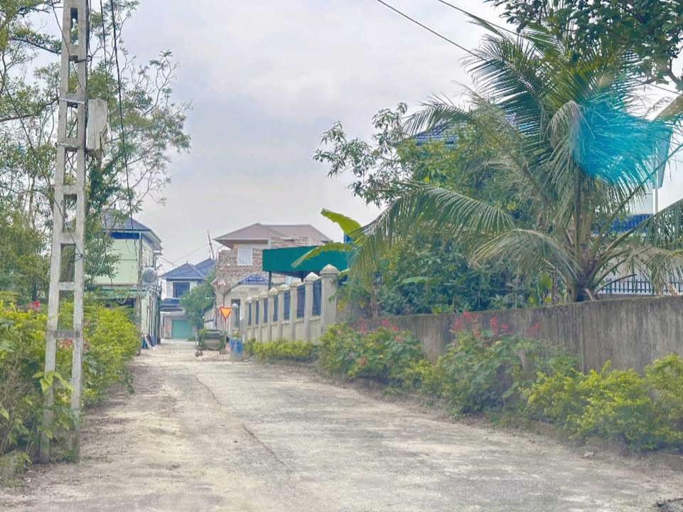 Đất nền thổ cư Tân Long, Việt Tiến 238m² - Đầu tư sinh lời ngay!