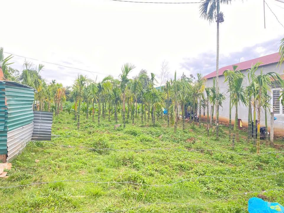 Đất nền đẹp tại Kom Leo, Buôn Ma Thuột 408m² giá 1.48 tỷ - Cơ hội đầu tư sinh lời!