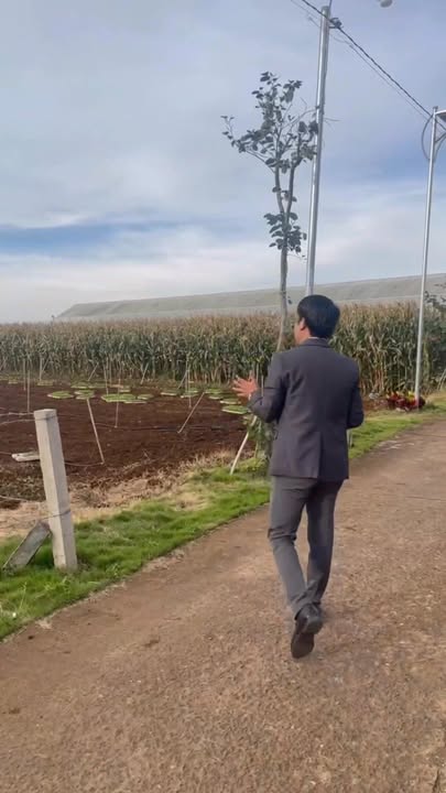 Lô đất đẹp xã Tân Hội, Đức Trọng 115m² giá chỉ 750 triệu - Đầu tư sinh lời cao!