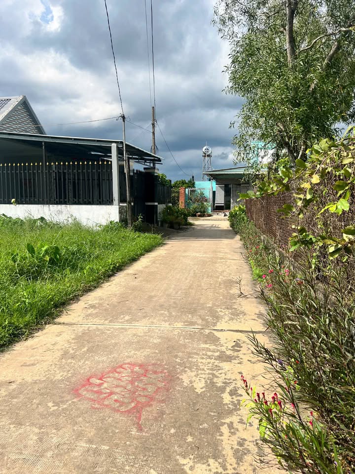 Đất nền 105m² tại Mỹ Hạnh, Đức Hòa chỉ 1,3 tỷ - Chính chủ bán gấp!