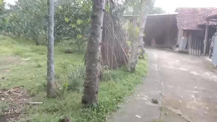 Đất ở Phú Gia, Hương Khê 7200m² giá 300 triệu - Cơ hội đầu tư sinh lời!