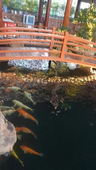 Đất Cẩm Bình 160m² giá thỏa thuận - Đất đẹp, thông thoáng gần công viên!