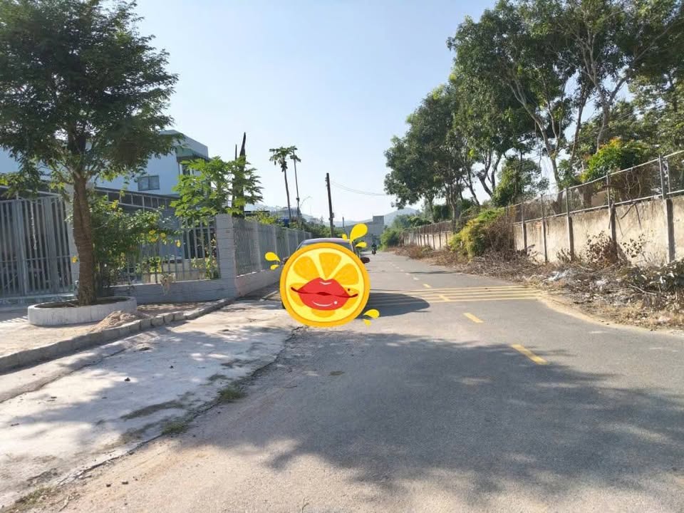 Đất nền mặt tiền nhựa Tam An, Long Đất 500m² giá 1.25 tỷ - Cơ hội đầu tư vàng!