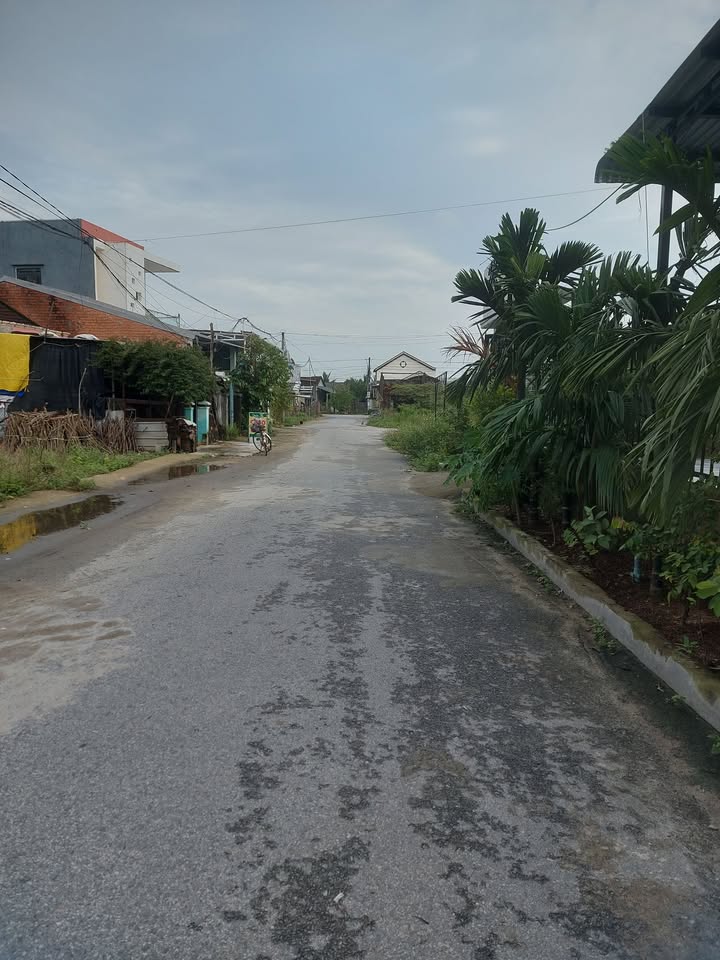 Đất nền thôn Bầu Chuốc, Bình Chánh 100m² - Giá tốt, đầu tư sinh lời!