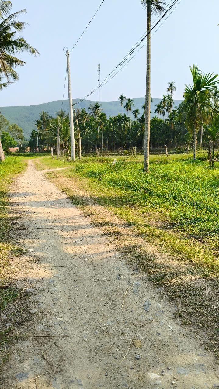 Đất nền Hành Đức Nghĩa Hành 115m² giá chỉ 1xx triệu - Cơ hội đầu tư tuyệt vời!