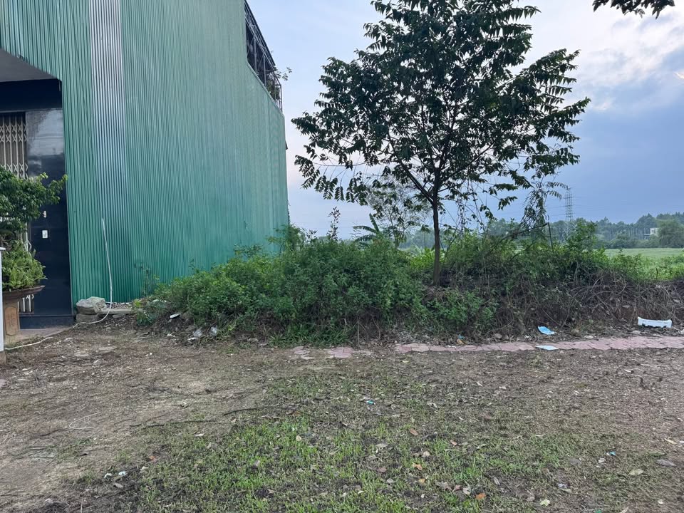 Đất mặt tiền Trường Chinh Quảng Ngãi 100m² giá 3.32 tỷ - Cơ hội đầu tư sinh lời!