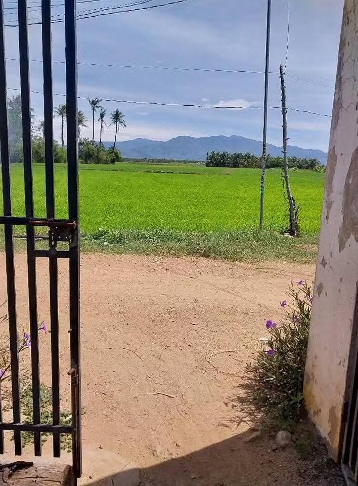 Đất nền Đô Vinh, Tháp Chàm 280m² giá 1.1 tỷ - Sổ hồng riêng, sang tên nhanh chóng!