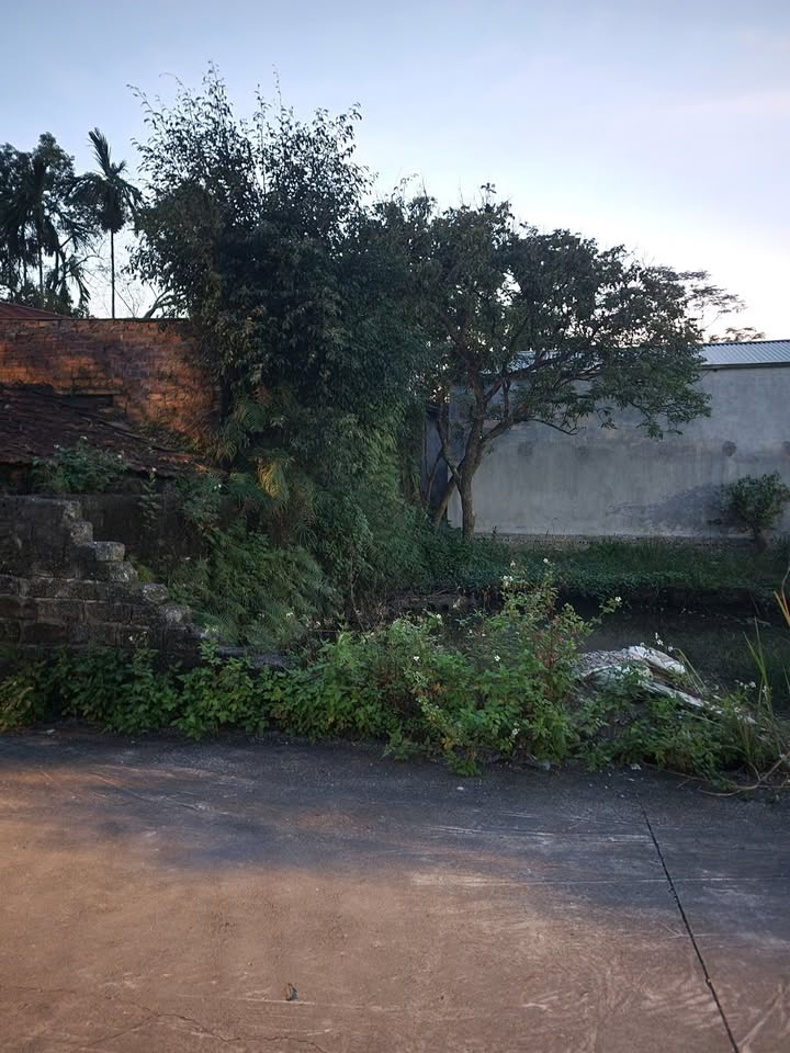 Đất bán gần trường MenSa, Phủ Lý 64m² - Giá rẻ bất ngờ!