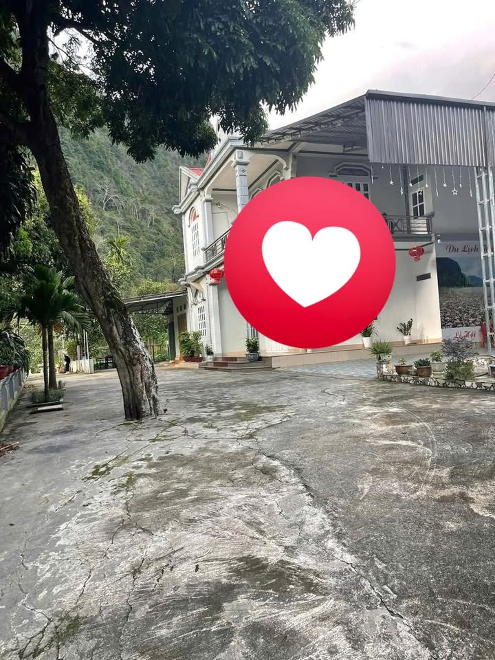 Đất nền đường Nguyễn Văn Linh, phường Quang Trung, 104m² giá chỉ 6xx triệu - Cơ hội đầu tư tuyệt vời!