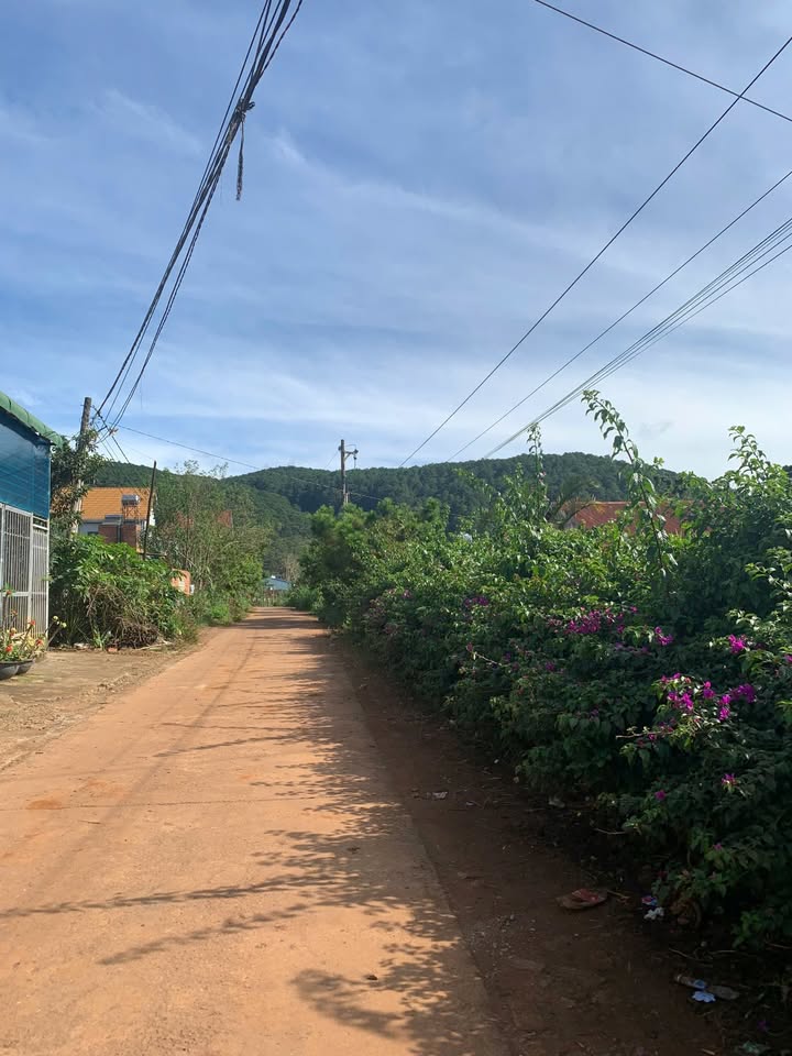 Đất thổ cư Đạ Ròn 576m² giá 1.15 tỷ - Vị trí đắc địa gần QL27!