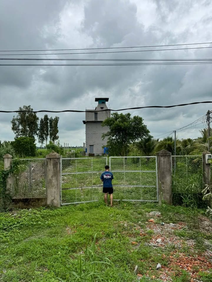 Đất nền Vĩnh Phú Thoại Sơn 614m² giá 2 tỷ - Có sẵn nhà yến thu hoạch hàng tháng!