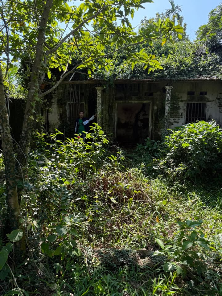 Đất nền Dương Thành, Phú Bình 329m² - Đầu tư sinh lời dễ dàng!