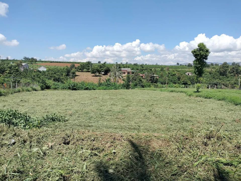 Đất thổ cư Đăk Hà 125m² giá 325 triệu - Đường nhựa rộng, dân cư đông đúc!