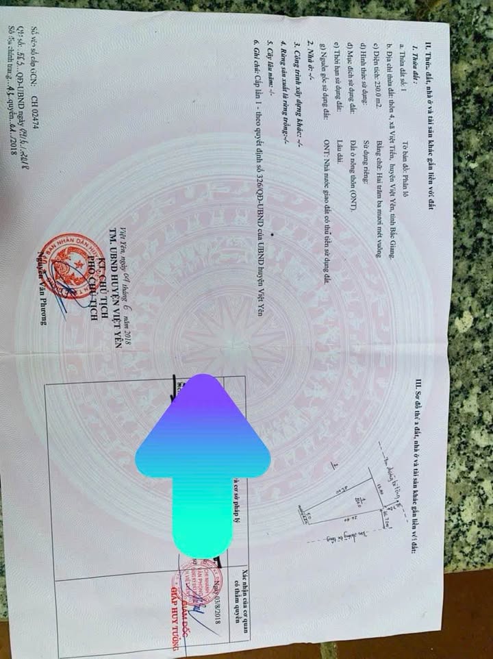 Lô đất 230m² tại Việt Tiến, Bắc Giang chỉ 1.8 tỷ - Cơ hội đầu tư tuyệt vời!