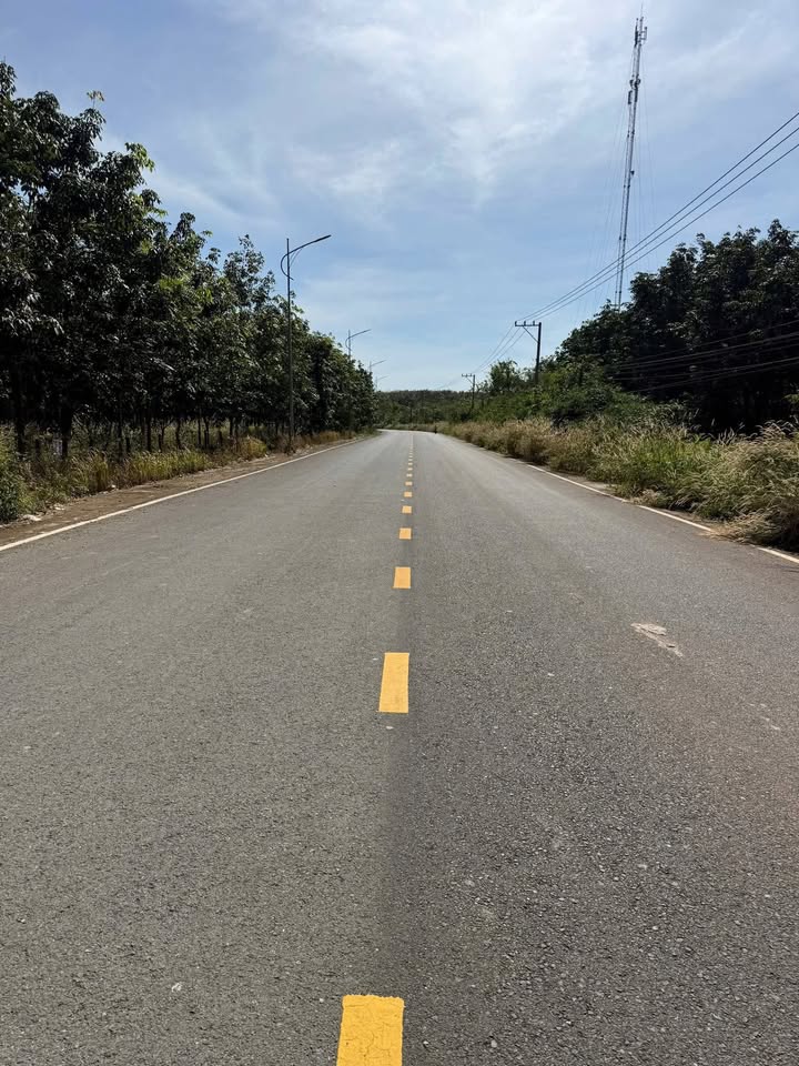 Đất nền 10m mặt tiền đường Dương Gia Trang, Nha Bích, 620m² giá chỉ 1.4 tỷ - Cơ hội đầu tư tuyệt vời!