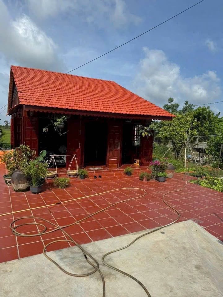 Biệt thự nhà vườn gỗ mini Khánh Hậu, Tân An 1000m² giá 4.5 tỷ - Dọn vào ở ngay!
