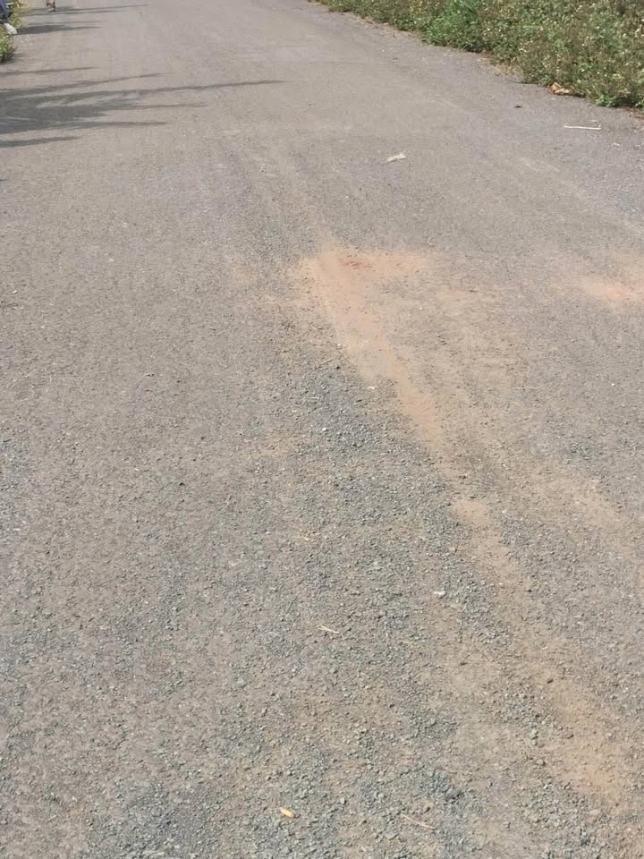 Đất thổ cư 1,2ha tại Lộc Ngãi, Bảo Lâm - Giá thỏa thuận hấp dẫn!