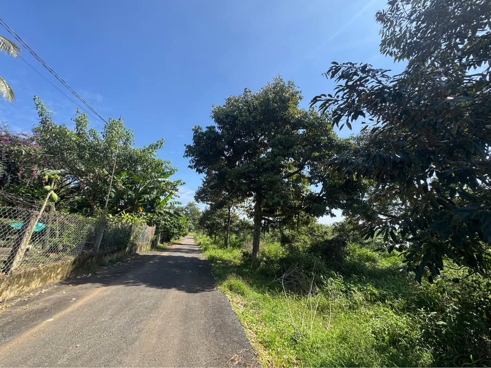 Đất thổ cư Tân Lạc Bảo Lâm 182m² giá 530 triệu - Cần bán gấp!