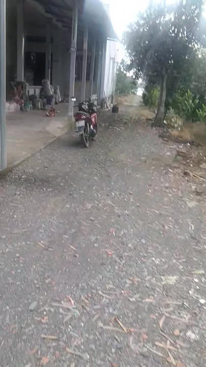 Cho thuê đất farm 20-30 công tại xã Hòa Tân, Châu Thành - Giá chỉ từ 5 triệu/năm!