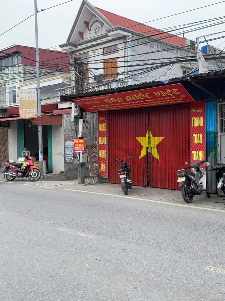 Nhà cấp 4 mặt đường 203, Hoa Động, 100m² giá 6 tỷ - Kinh doanh ngay!