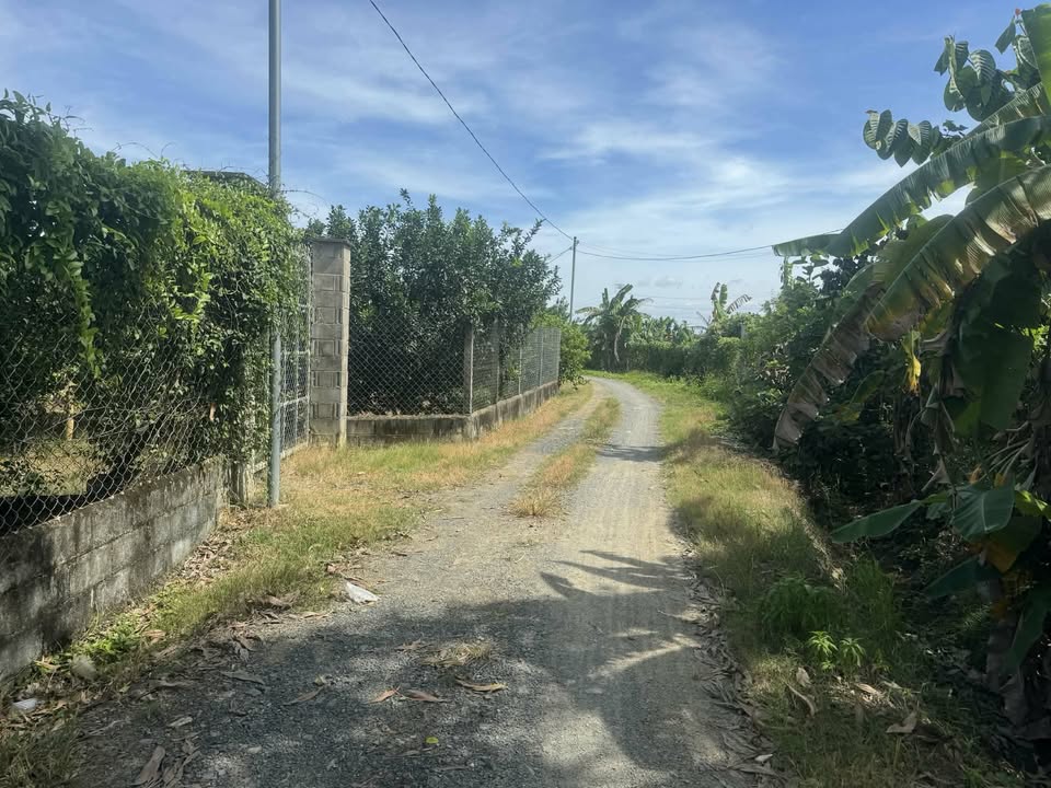 Đất vườn 1800m² Tân Triều, Biên Hòa - Đầu tư tiềm năng với 4.3 tỷ!