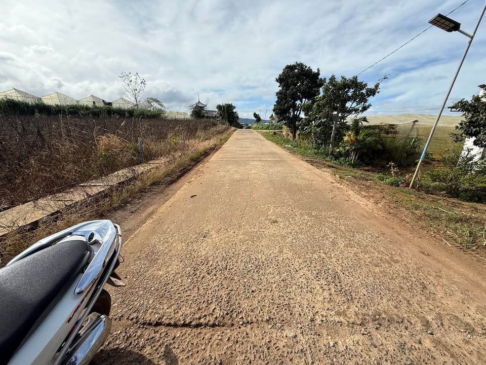 Bán đất Đường Số 8, Quảng Lập, Đơn Dương 155m² giá 620 triệu - Hướng Tây Bắc, sổ đỏ chính chủ!