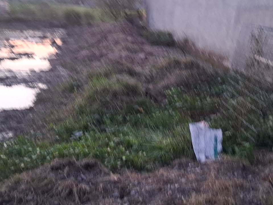 Đất nền đường Rừng Dầu, Đức Hòa 105m² giá 950 triệu - Đầu tư sinh lời ngay!