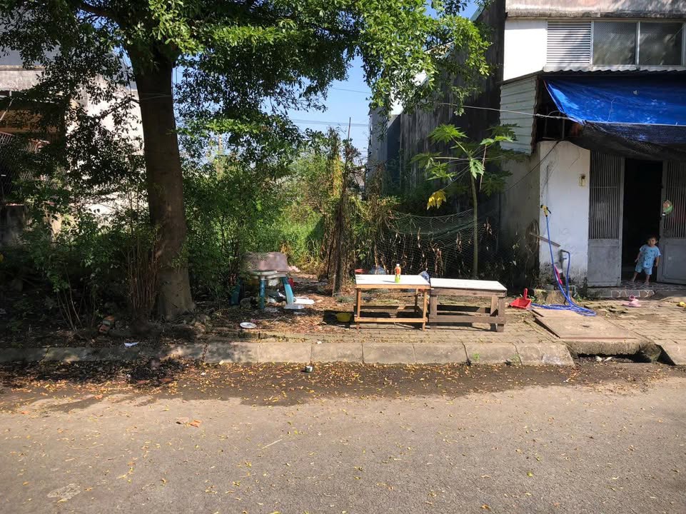 Đất nền KDC Trần Anh, Mỹ Hạnh Nam, Đức Hòa 85m² giá 1.45 tỷ - Sổ hồng chính chủ!