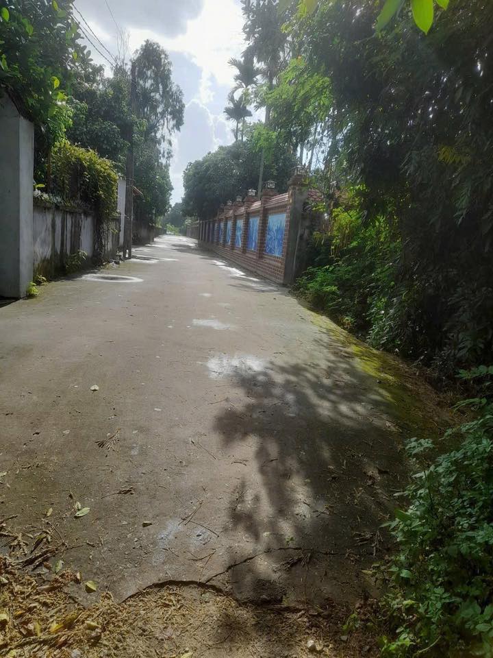 Đất thổ cư Lương Quán Nam Sơn 529m² giá chỉ 9 triệu/m² - Cơ hội đầu tư hiếm có!