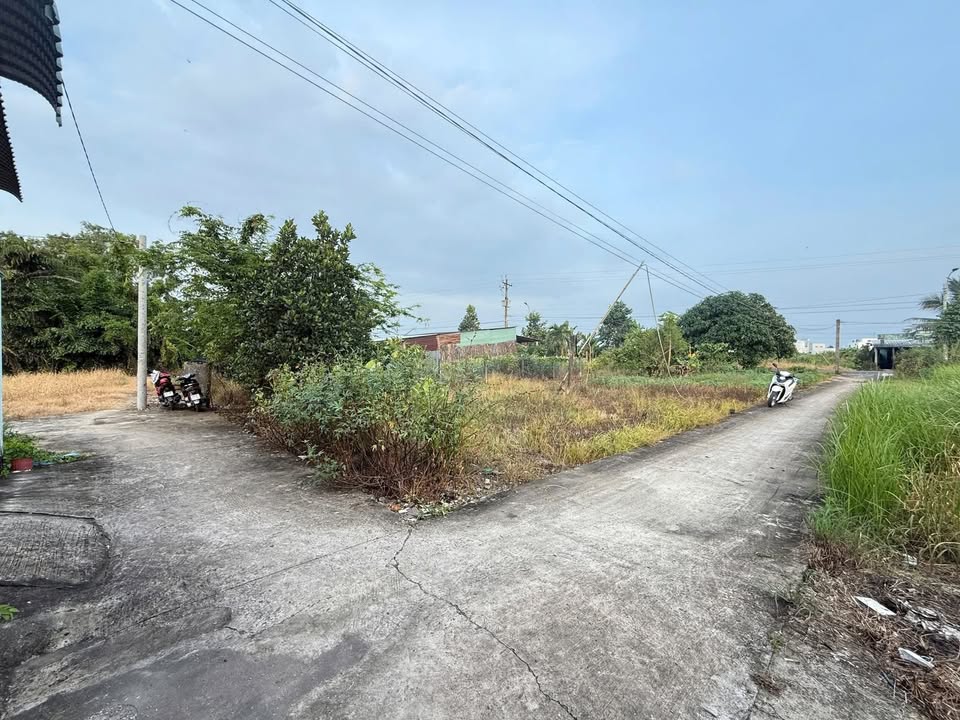 Đất thổ cư tại Mỹ Lộc, Cần Giuộc 110m² giá 850 triệu - Đầu tư sinh lời ngay!