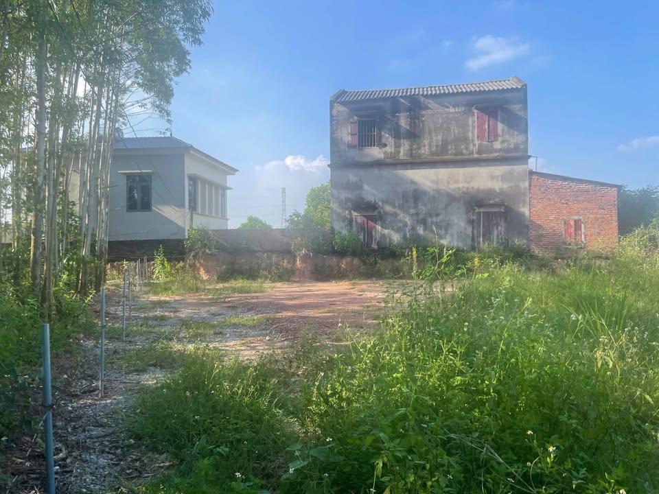 Đất thổ cư 297m² tại Thái Đào, Lạng Giang - Giá chỉ 1 tỷ!