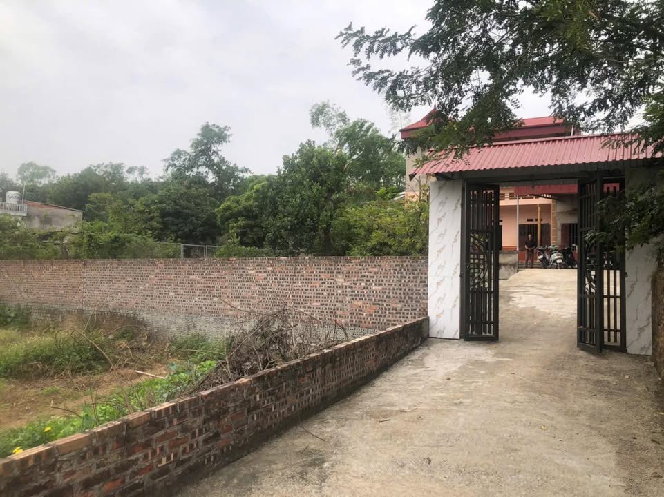 Đất thổ cư thôn Nam, Đồng Việt, Yên Dũng 137.9m² giá 700 triệu - Đầu tư sinh lời!