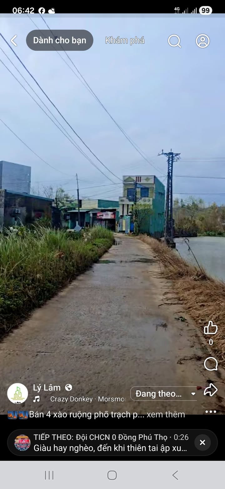 Đất nền Phước Thuận Tuy Phước 2000m² giá 600 triệu - Đầu tư sinh lời ngay hôm nay!