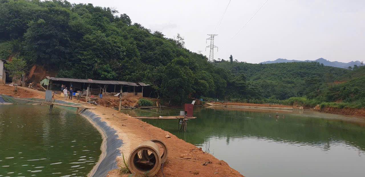 Trang trại đẹp tại Phong Hải, Lào Cai 10HA giá 4.5 tỷ - Đầu tư sinh lời ngay!