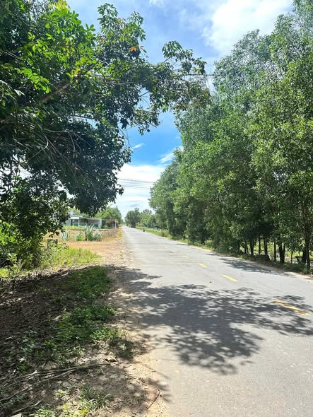 Đất nền Thạnh Bình, Tân Biên 350m² chỉ 600 triệu - Đầu tư sinh lời ngay!