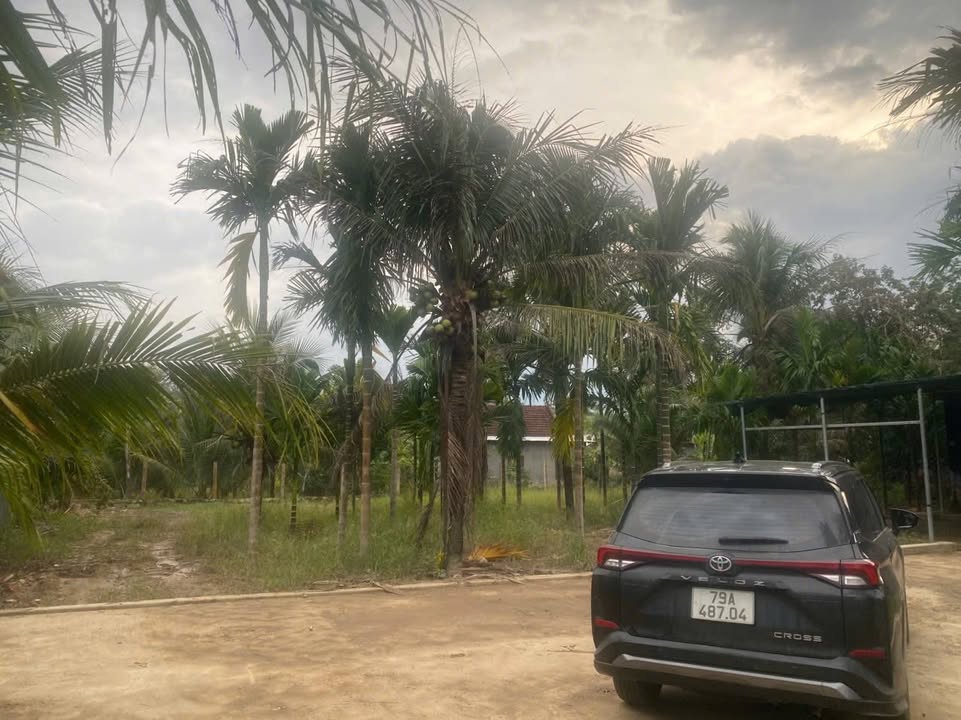 Đất đẹp Thạnh Mỹ – Ninh Quang 1248m² giá 3,9 tỷ - Đầu tư sinh lời ngay!