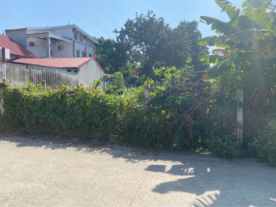 Đất nền Tân Minh, Sóc Sơn 80m² giá thương lượng - Mặt tiền rộng, ô tô tránh nhau!