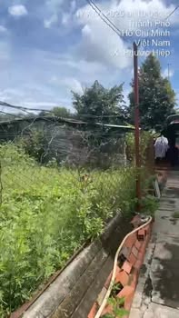 Đất nền 470,4m² tại ấp Trung Viết, Củ Chi giá 2,6 tỷ - Sẵn sàng xây dựng!