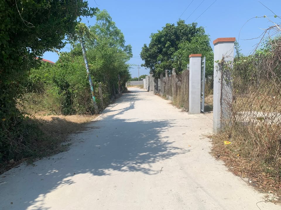 Đất nền Cam Phúc Nam Cam Ranh 540m² giá 3.2 tỷ - Đường bê tông ô tô vào tận đất!