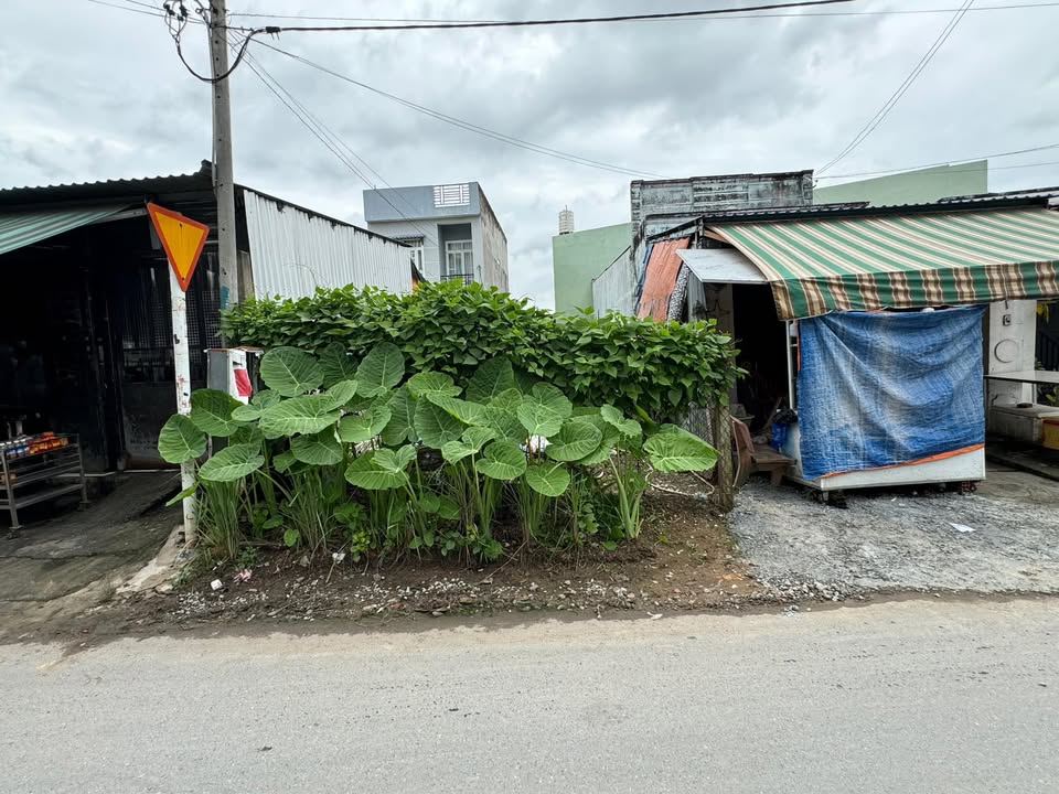 Đất nền 135m² tại Chợ Chiều, Củ Chi chỉ 3.5 tỷ - Vị trí kinh doanh lý tưởng!