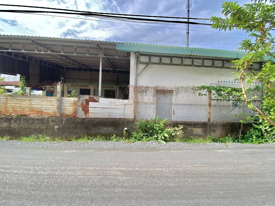 FrontHouse cho thuê đường Nguyễn Thị Xạnh, Củ Chi, 319m² - Nhà sẵn sàng cho thuê