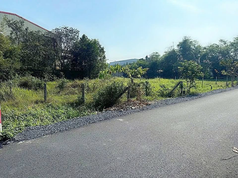 Đất thổ cư đường Lê Thị Vui, Củ Chi 105m² giá 1.29 tỷ - Đầu tư sinh lời!