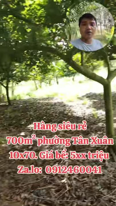 Đất nền phường Tân Xuân 700m² giá 500 triệu - Cơ hội đầu tư lý tưởng!